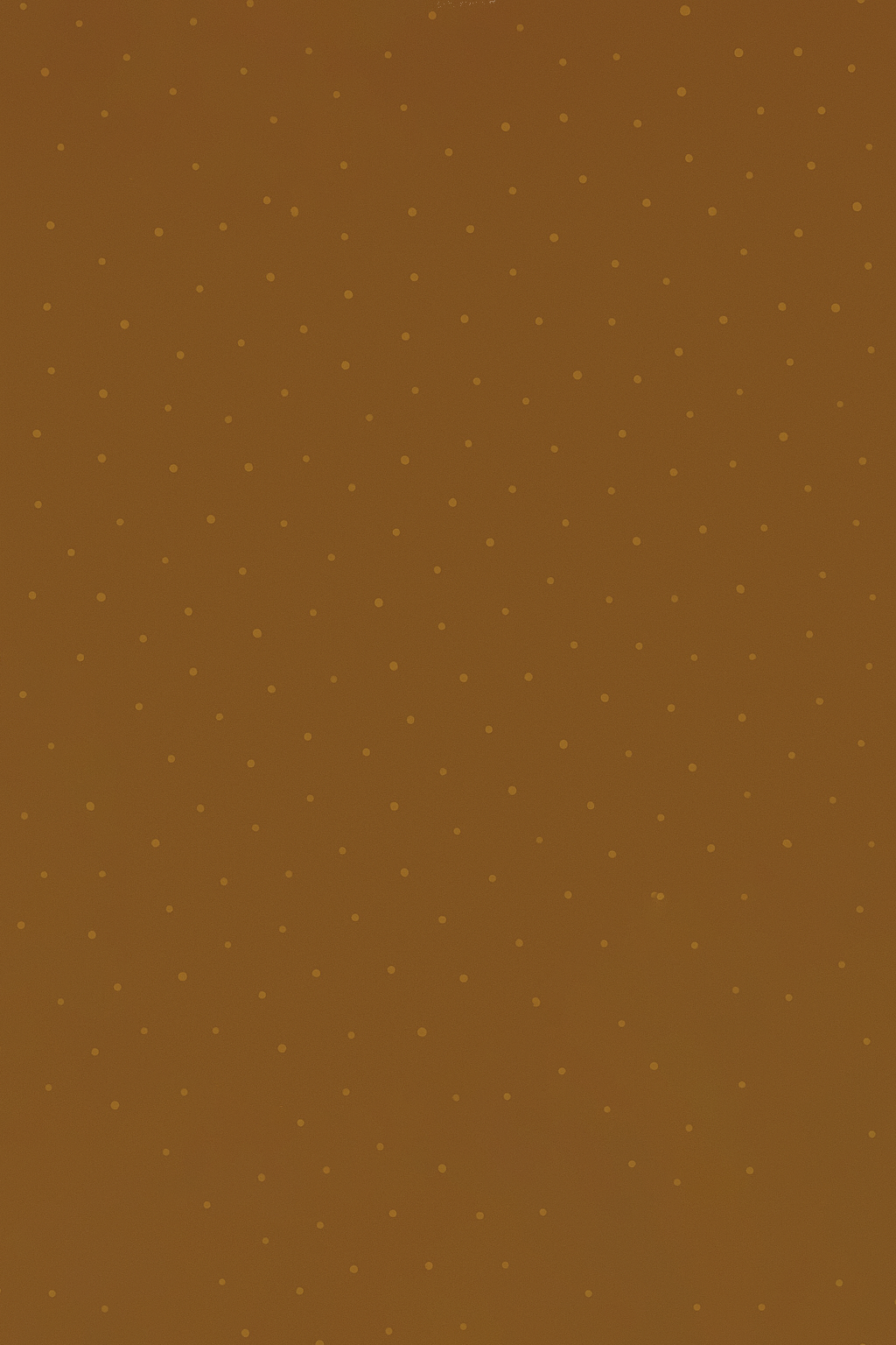 Fondo trasero