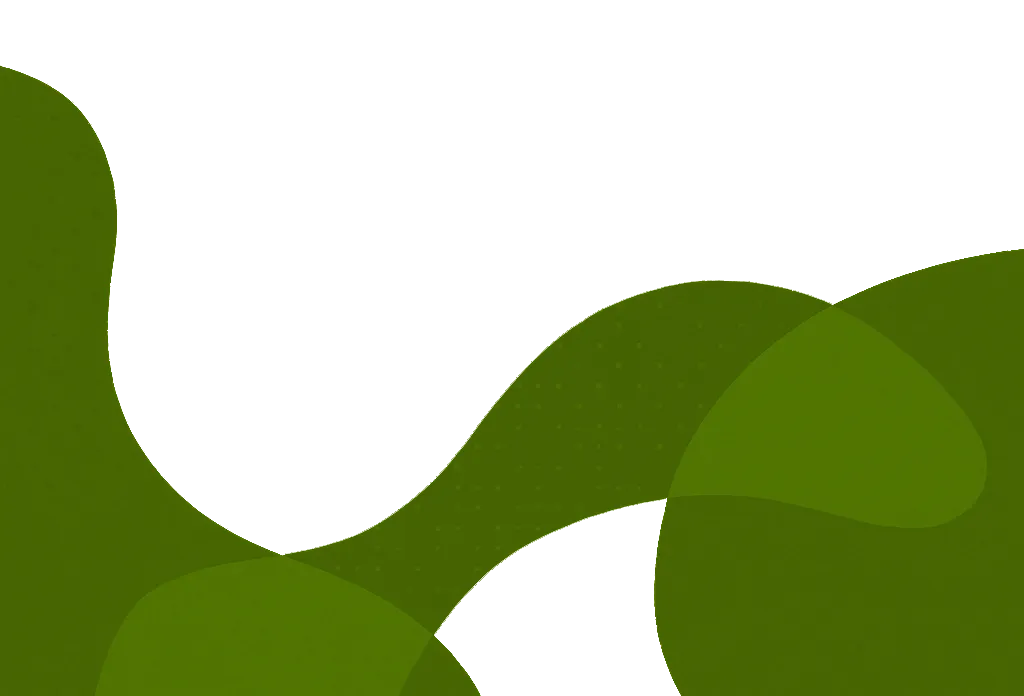 Fondo delantero